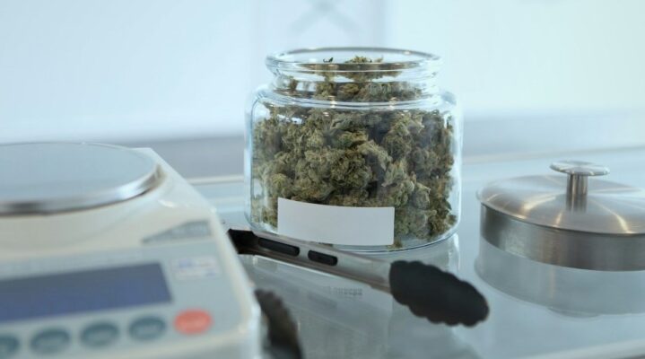 Cannabis and Well-being: Understanding Different Strains